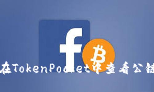 如何在TokenPocket中查看公链信息