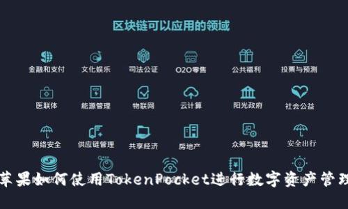 苹果如何使用TokenPocket进行数字资产管理