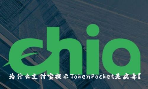 为什么支付宝提示TokenPocket是病毒？