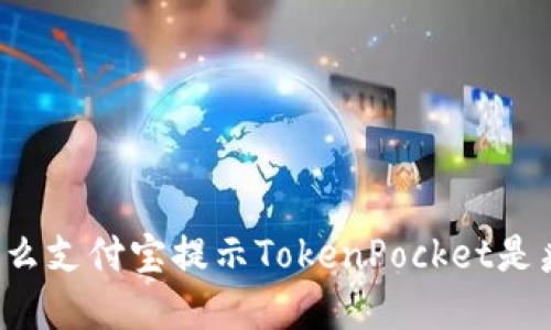 为什么支付宝提示TokenPocket是病毒？