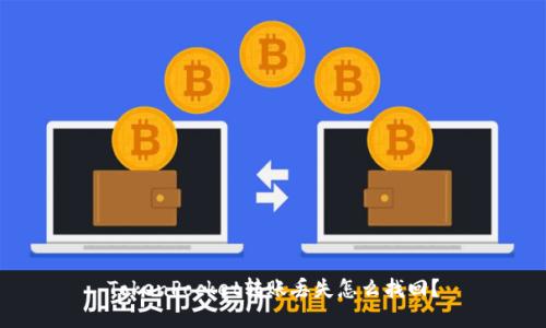 TokenPocket转账丢失怎么找回？