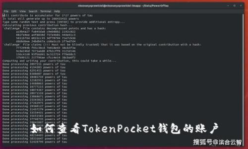 如何查看TokenPocket钱包的账户