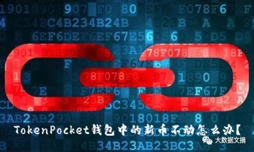 TokenPocket钱包中的新币不动怎么办？