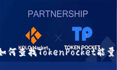 如何查找TokenPocket能量？