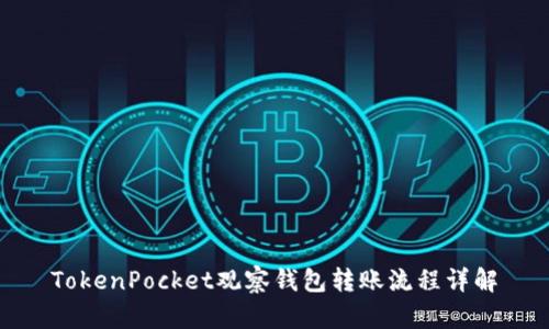 TokenPocket观察钱包转账流程详解