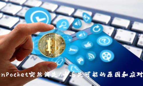 TokenPocket突然消失/币丢失可能的原因和应对方法