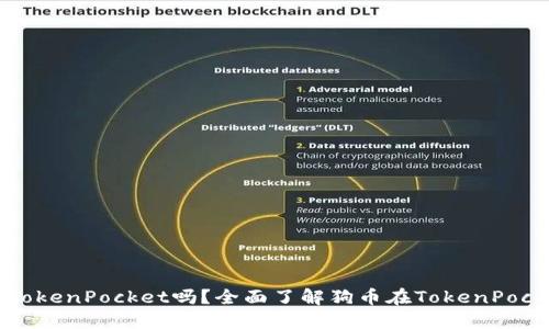 狗币可以提到TokenPocket吗？全面了解狗币在TokenPocket的操作指南