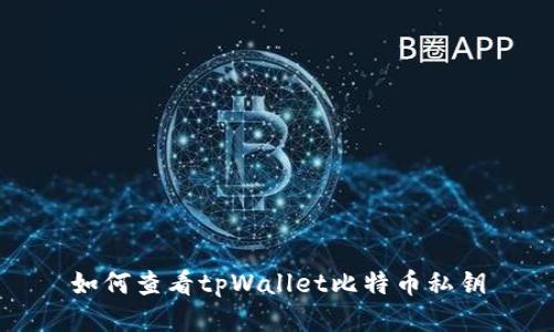 如何查看tpWallet比特币私钥