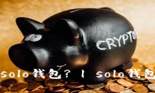 如何使用solo钱包? | solo钱包使用指南