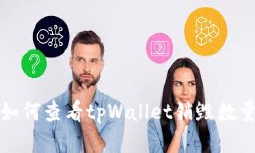 如何查看tpWallet销毁数量