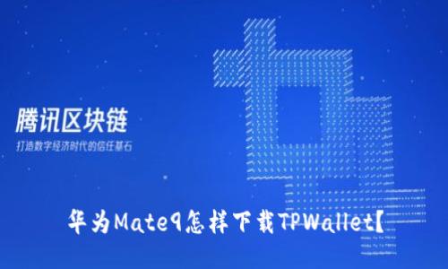 华为Mate9怎样下载TPWallet？