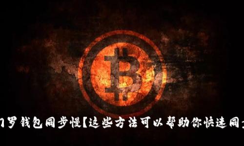 门罗钱包同步慢？这些方法可以帮助你快速同步