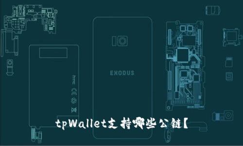 tpWallet支持哪些公链？