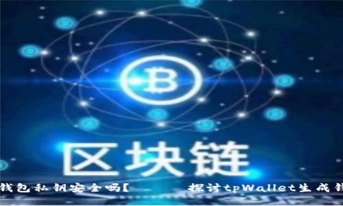 tpWallet生成的钱包私钥安全吗？ —— 探讨tpWallet生成钱包私钥的安全性