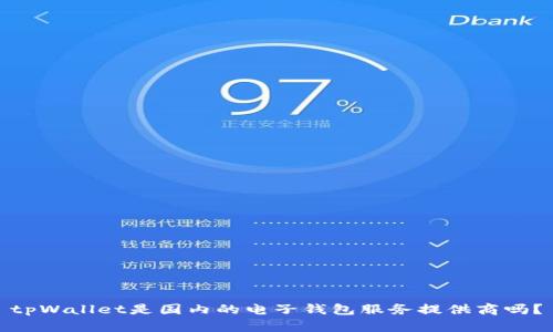 tpWallet是国内的电子钱包服务提供商吗？