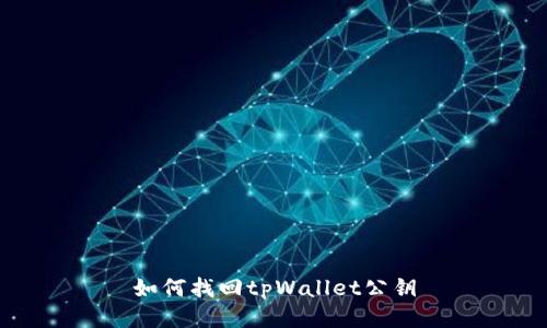 如何找回tpWallet公钥