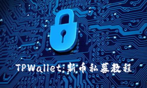 TPWallet：新币私募教程