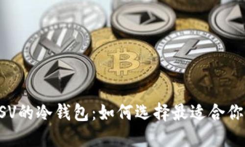 支持BSV的冷钱包：如何选择最适合你的方式